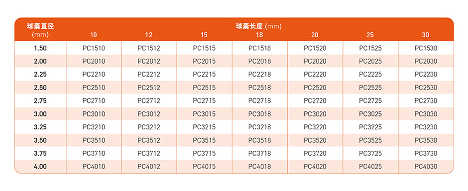 Yinyi® Balloon Dilatation Catheter(图3)